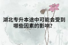 湖北專升本途中可能會(huì)受到哪些因素的影響？