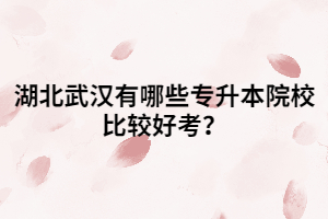 湖北武漢有哪些專升本院校比較好考？