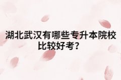 湖北公辦.民辦.獨(dú)立院校這三者有什么區(qū)別？