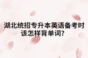 湖北統(tǒng)招專升本英語備考時該怎樣背單詞？
