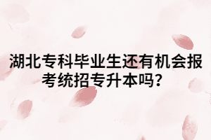 湖北?？飘厴I(yè)生還有機會報考統(tǒng)招專升本嗎？