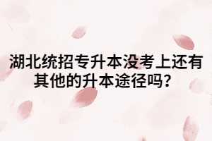 湖北統(tǒng)招專升本沒考上還有其他的升本途徑嗎？