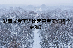 湖南成考英語比起高考英語哪個(gè)更難？