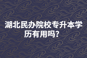 湖北民辦院校專升本學(xué)歷有用嗎？