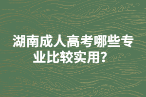 湖南成人高考哪些專業(yè)比較實用？