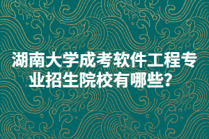 湖南大學(xué)成考軟件工程專業(yè)招生院校有哪些？