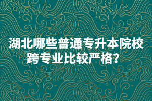 2021年湖北哪些普通專升本院校跨專業(yè)比較嚴(yán)格？
