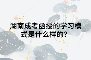 湖南成考函授的學(xué)習(xí)模式是什么樣的？