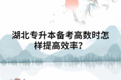 湖北專升本備考高數(shù)時怎樣提高效率？
