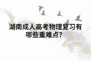 湖南成人高考物理復(fù)習(xí)有哪些重難點？