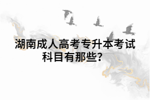 湖南成人高考專升本考試科目有那些？