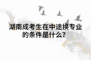 湖南成考生在中途換專業(yè)的條件是什么？