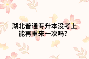 湖北普通專(zhuān)升本沒(méi)考上能再重來(lái)一次嗎？