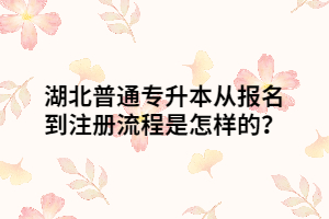 湖北普通專升本從報名到注冊流程是怎樣的？