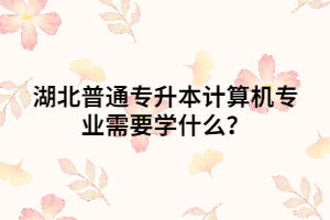湖北普通專升本計算機專業(yè)需要學什么？