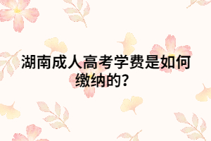 湖南成人高考學(xué)費(fèi)是如何繳納的？