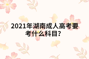 2021年湖南成人高考要考什么科目？