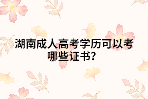 湖南成人高考學(xué)歷可以考哪些證書？