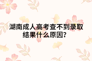 湖南成人高考查不到錄取結(jié)果什么原因？