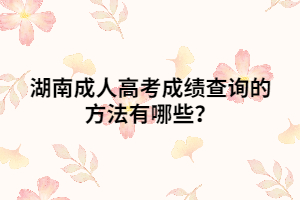 湖南成人高考成績查詢的方法有哪些？