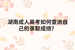 湖南成人高考如何查詢自己的錄取成績(jī)？