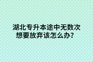 湖北專升本途中無(wú)數(shù)次想要放棄該怎么辦？