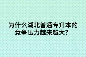 為什么湖北普通專升本的競爭壓力越來越大？