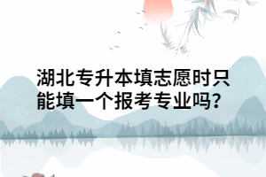 湖北專升本填志愿時只能填一個報考專業(yè)嗎？