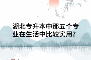 湖北專升本中那五個專業(yè)在生活中比較實(shí)用？