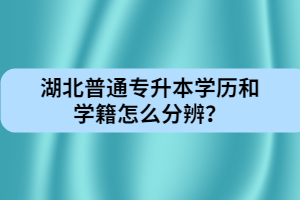 湖北普通專升本學(xué)歷和學(xué)籍怎么分辨？