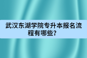 武漢東湖學院專升本報名流程有哪些？
