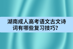 湖南成人高考語文古文詩詞有哪些復(fù)習(xí)技巧？