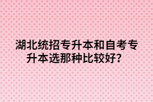 湖北統招專升本和自考專升本選那種比較好？