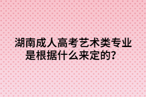 湖南成人高考藝術類專業(yè)是根據(jù)什么來定的？