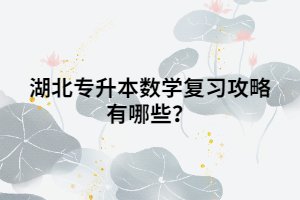 湖北專升本數(shù)學(xué)復(fù)習(xí)攻略有哪些？