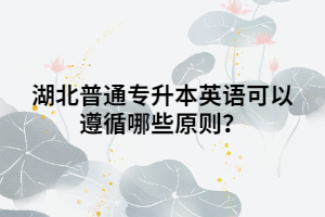 湖北普通專(zhuān)升本英語(yǔ)可以遵循哪些原則？