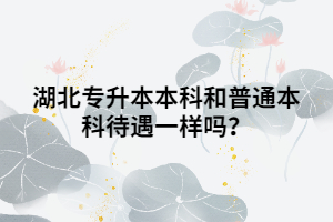 湖北專升本本科和普通本科待遇一樣嗎？