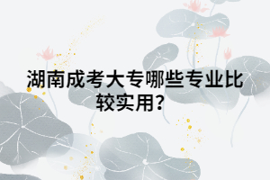 湖南成考大專哪些專業(yè)比較實用？