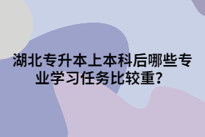 湖北專升本上本科后哪些專業(yè)學(xué)習(xí)任務(wù)比較重？