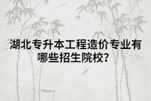 湖北專升本工程造價專業(yè)有哪些招生院校？
