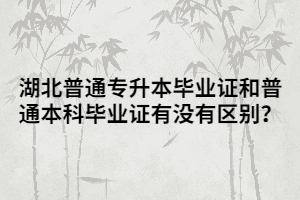 湖北普通專升本畢業(yè)證和普通本科畢業(yè)證有沒有區(qū)別？