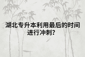 湖北專升本利用最后的時(shí)間進(jìn)行沖刺？