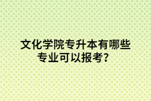 文化學(xué)院專升本有哪些專業(yè)可以報(bào)考？