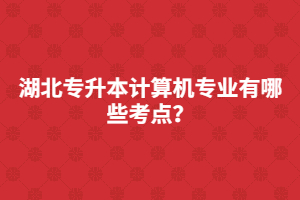 湖北專升本計算機專業(yè)有哪些考點？