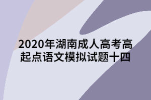 2020年湖南成人高考高起點語文模擬試題十四