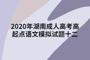 2020年湖南成人高考高起點(diǎn)語文模擬試題十四