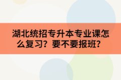 湖北統(tǒng)招專升本專業(yè)課怎么復(fù)習(xí)？要不要報(bào)班？