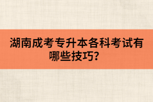 湖南成考專升本各科考試有哪些技巧？