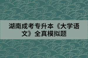 湖南成考專升本《大學(xué)語(yǔ)文》全真模擬題（二）