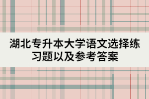 湖北專升本大學(xué)語(yǔ)文選擇練習(xí)題以及參考答案